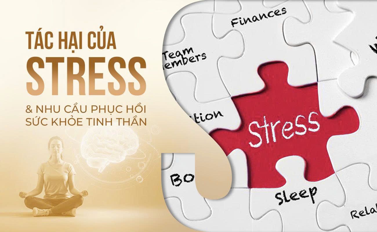 Tac Hai Cua Stress Va Nhu Cau Phuc Hoi Suc Khoe Tinh Than